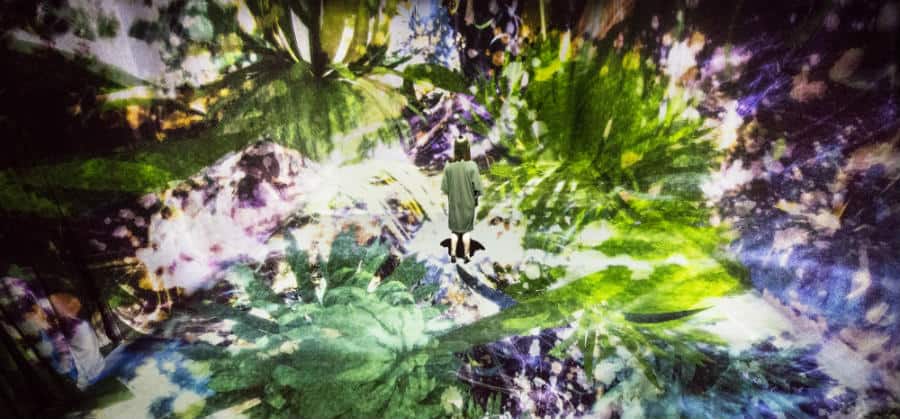 Amos Rex’s first exhibition showcases digital art by a Japanese group of artists called teamLab. They are known for their immersive digital installations, where colours play an important role.